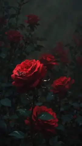 Tu hi meri hain bandagi🥹🤍 #terebinaterebinadilnehilagta 