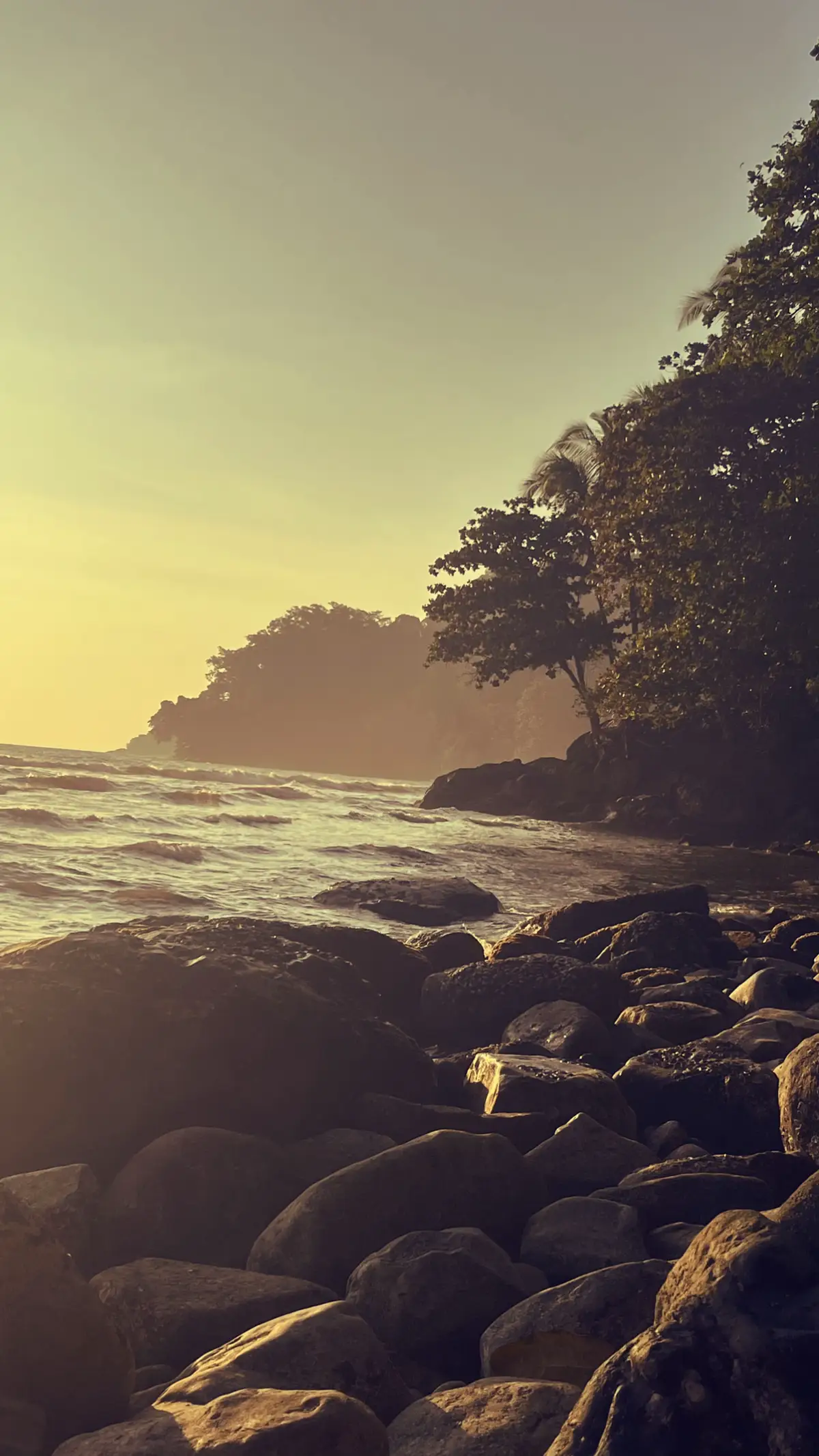 #fyp #4u #paprandom #dump #2016 