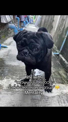 ဟွန့်🤣#fyp #foryou #09 #09 