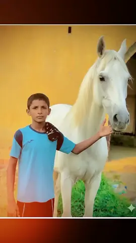 کلی کوڑی پجے تیری بہت مٹھیا جے کوڑے ساڈے نا پجائی پتا پھر لگو گا 🐴🐴🐴🐴🐴🐴🐴⭐⭐⭐⭐⭐⭐