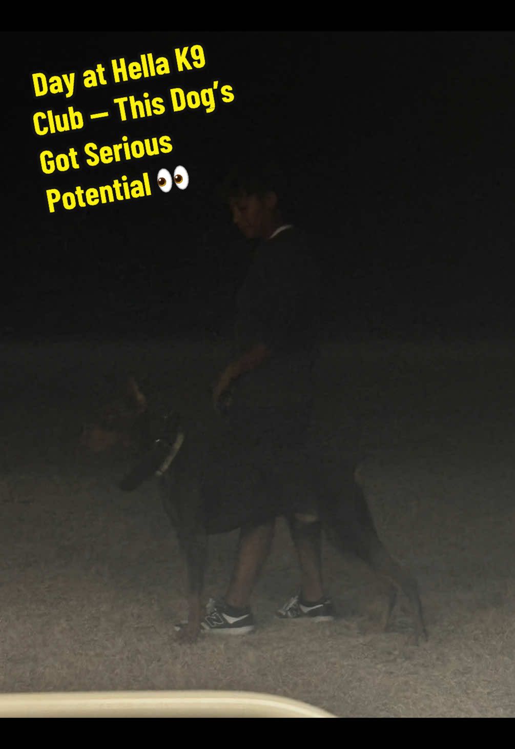 Day 1 at Hella K9 Club 🐾 in New Braunfels and we’re already putting in the work! 💪  Getting him ready for his Protection Sports Association (PSA) title — one step closer to turning drive into discipline. 🔥 Stay tuned for his progress and training wins! 👉 Follow along for updates and behind-the-scenes training tips. @HellaK9s  #HellaK9Club #PSADogTraining #NewBraunfelsDogs #ProtectionDogTraining #WorkingDogGoals
