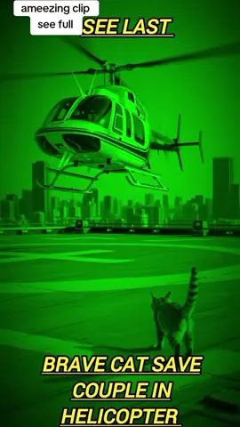 brave cat save couple in helicopter #100k #1millionaudition #emotional #help #beleaveinyourself #respect #cute #beautiful #kind #Love #couple #brave #cat #helicopter 