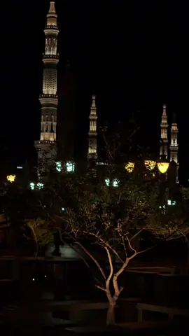 ﴿وَاذكُر أَخا عادٍ إِذ أَنذَرَ قَومَهُ بِالأَحقافِ..﴾  تلاوة مليئة بالخشوع والطمأنينة من فجر اليوم للشيخ عبدالله القرافي 🤍🌺 📅 صلاة الفجر ٢٧ / ٤ / ١٤٤٧هـ #عبدالله_القرافي  #المسجد_النبوي  #quran  #اكسبلور  #اكسبلورexplore 