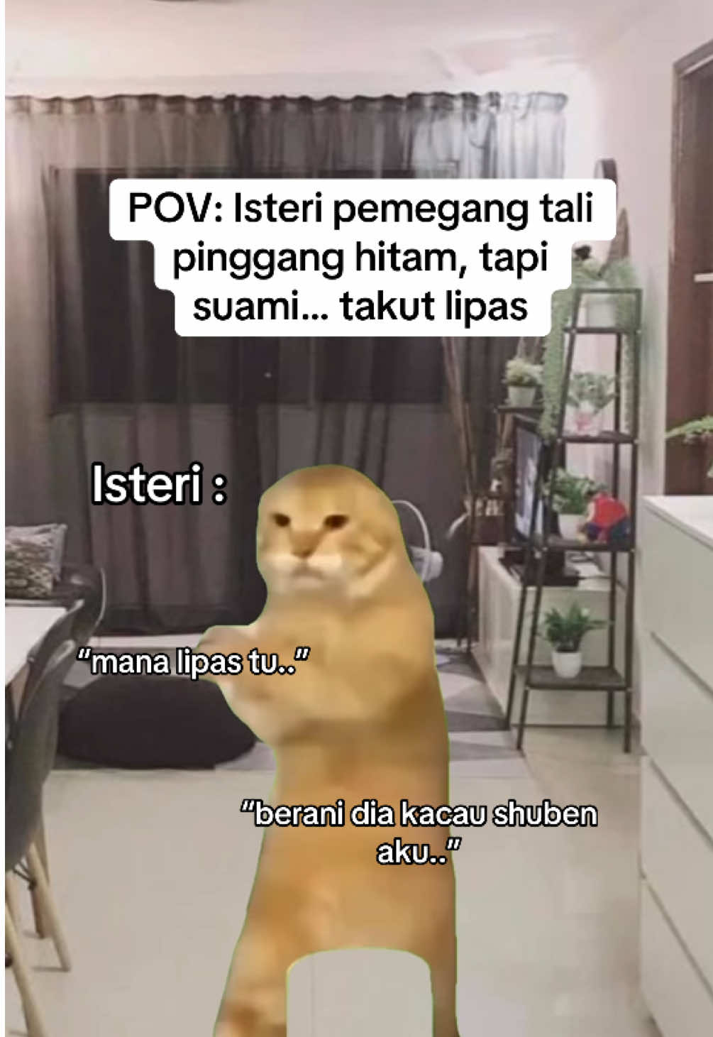Pov : suami takut lipas #pov 