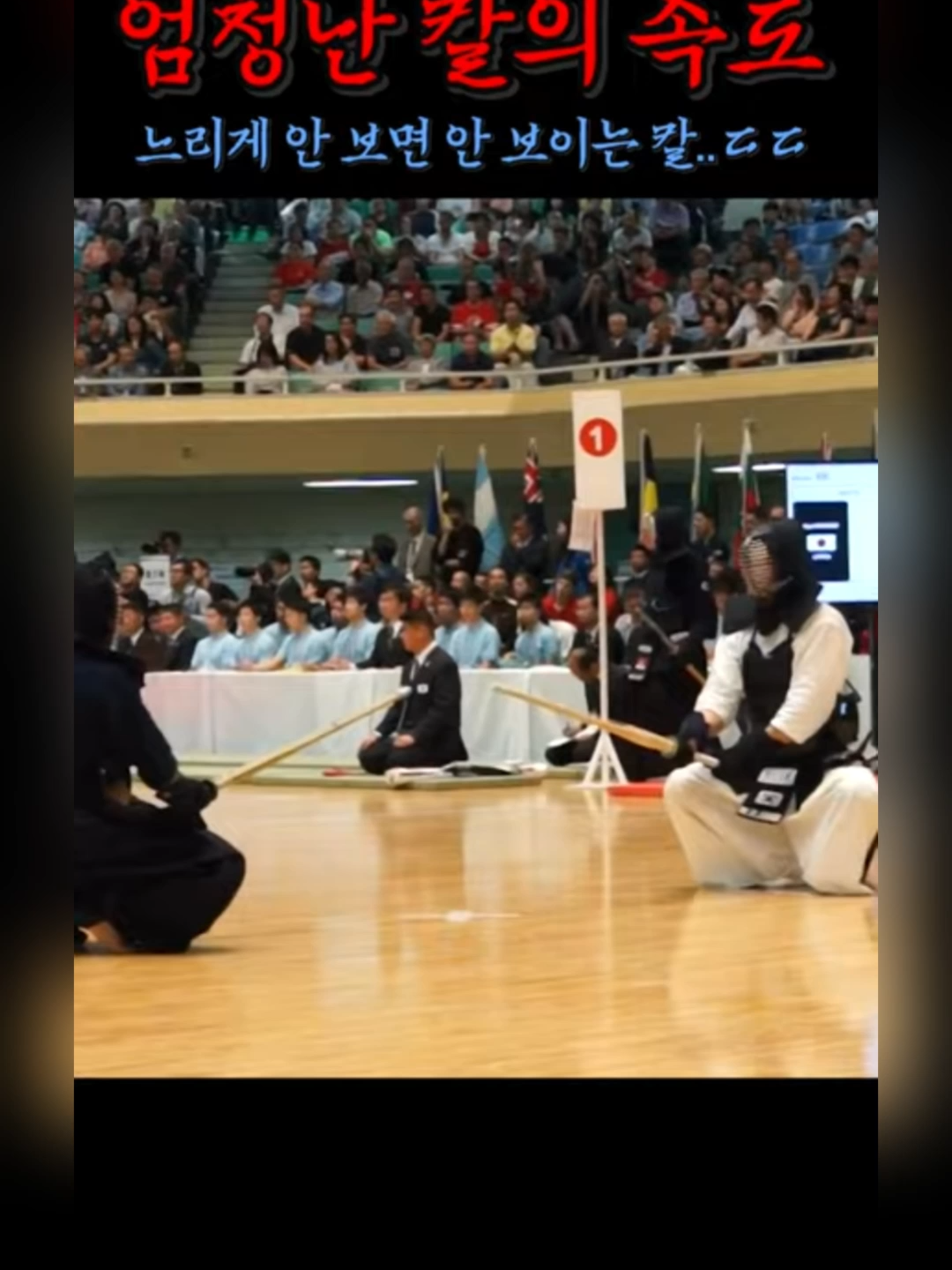 남성부 득점 하이라이트 6 #기#kendo