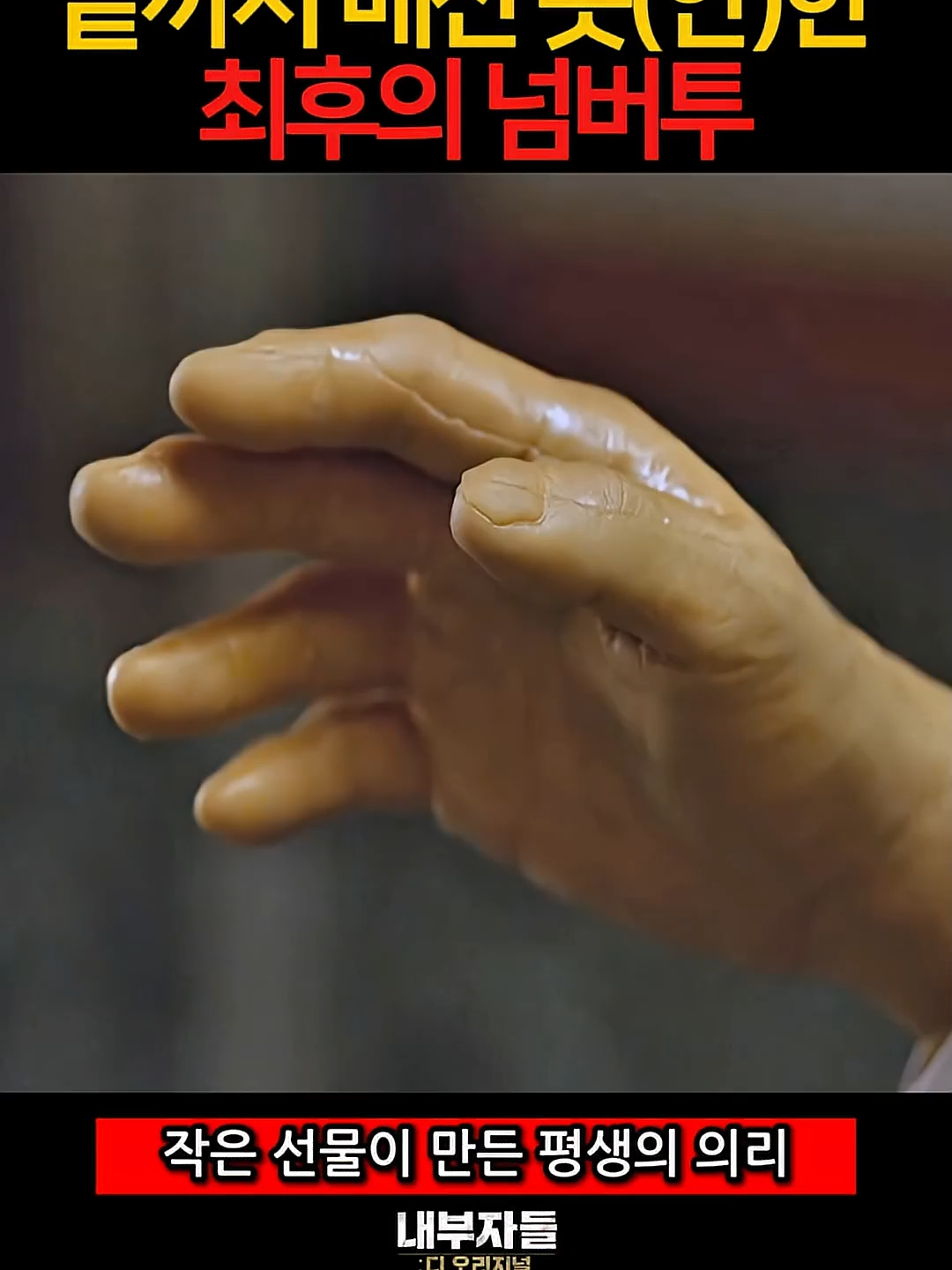 작은 선물이 만든 평생의 의리