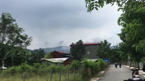 Tết nên chạy đâu ta✈️#xuhuong 