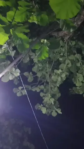 senyum mu kembali kuncup,,🌹🌹🌹🌹🌹🌹🌹