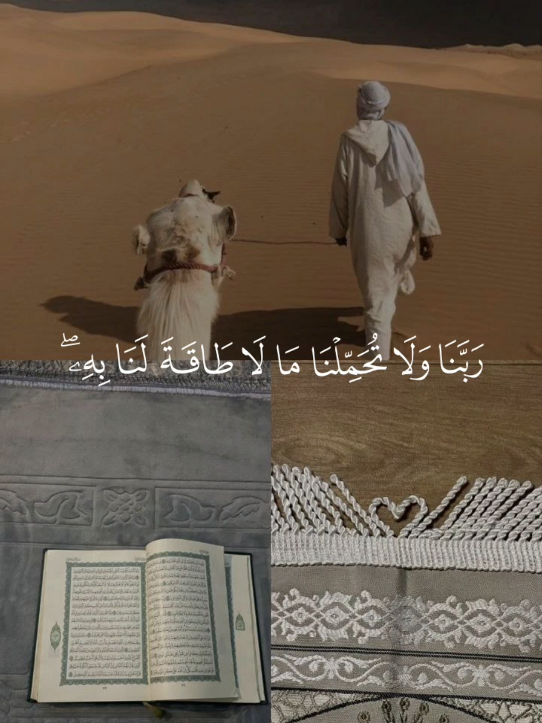 #فارس_عباد #دعاء #قران_كريم 
