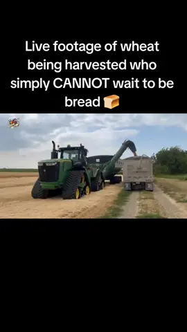 very eager #fyp #bread #funny #trending #food 