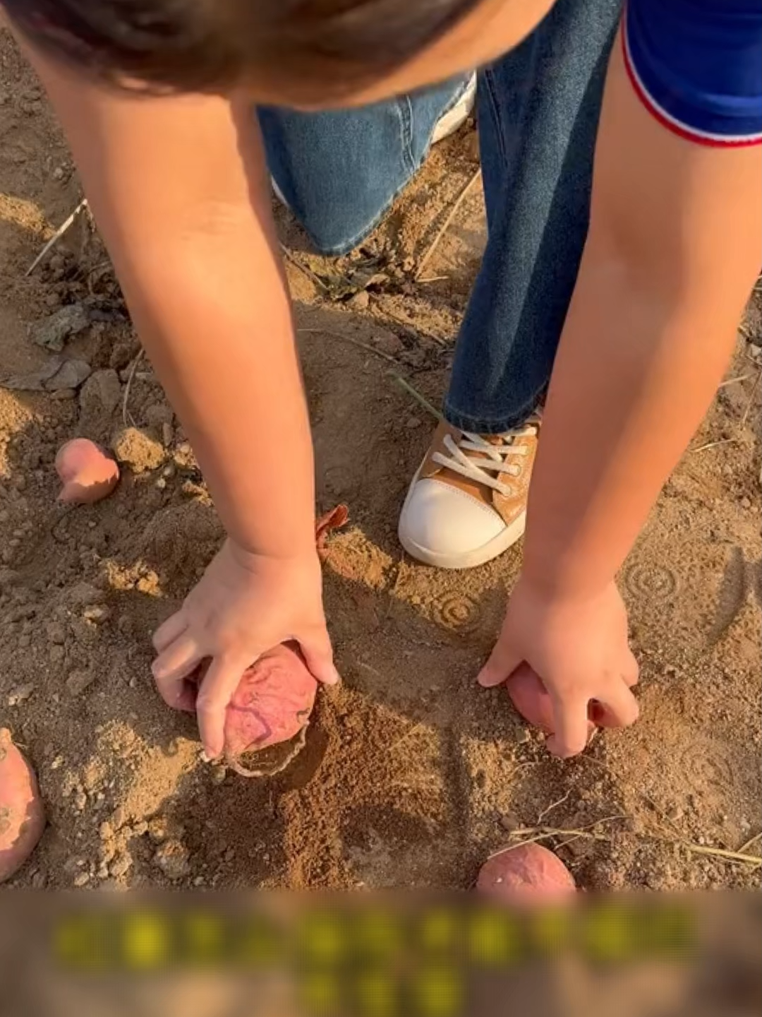 Mẹo hay mỗi ngày: 🍠 Bảo quản khoai lang sai cách là dễ mốc, héo nhanh lắm đó! Thử ngay mẹo bảo quản chuẩn này, để khoai giữ được cả mùa đông mà vẫn tươi ngon như mới đào lên 😍 #MẹoVặtGiaĐình #MẹoVặtCuộcSống #MẹoHayMỗiNgày #meovatgiadinh #trending #xuhuong #meohay #mẹovặt #MeoVatGiaDinh #viral #HackCuocSong #CleanTok