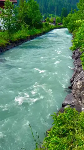 #تلاوة_خاشعة 