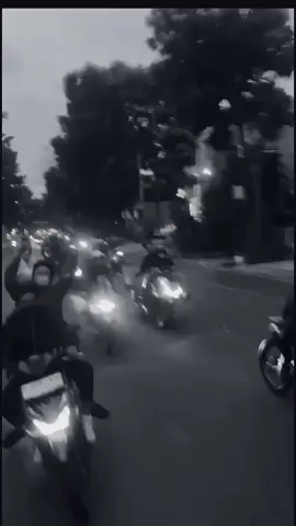 #malesbersaing #stecu #dprnibous #bangput #moaldijualceban 