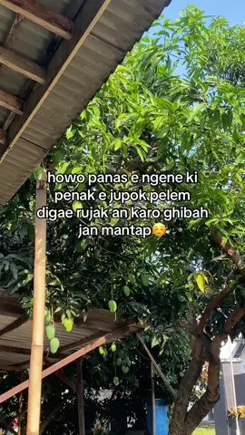 jan sesszz tenan #padahariini #rujakan #fypシ゚ #cuacapanas #xyzbca 