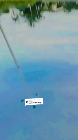 Replying to @tiringbiringfurri #kl_bd77 #fyp #foryoupage #fypシ゚viral🖤tiktok☆♡🦋myvideo 