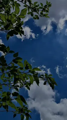 Domingo 💫 #buenosdias #domingo #october #2025 