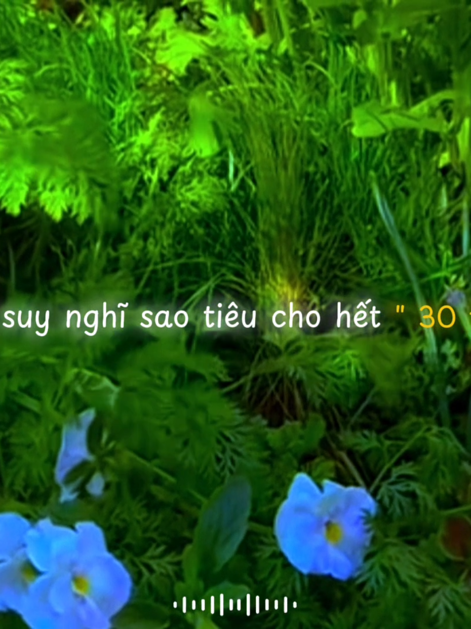 Đang hết tiền nghe tin bên cầm mua một người 15 tỏi ...2 cốt...30 tỏi...kkk#xh #vairal #fyp #cot #quangvu326 