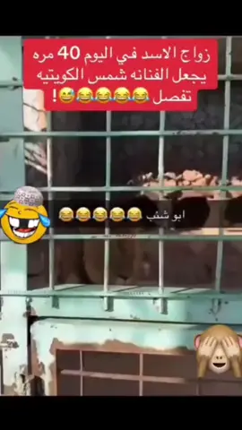 #في هذا اليوم 