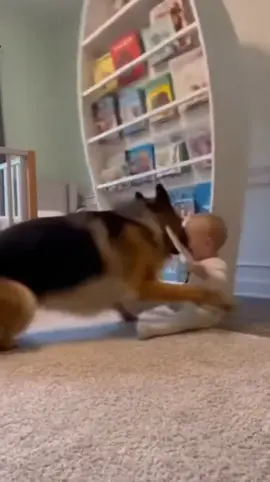 Bruh we’re so cooked 😭😭 #fyp #baby #dog #viral #fypシ 