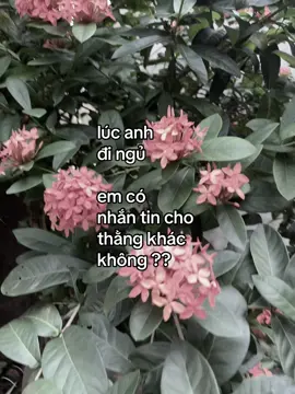 #hoanghaihaysuy #xuhuong 