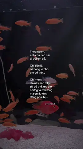 #tinhyeu #suyymottchut #viral #fyp 