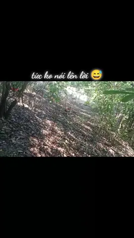 Bảy Gà Rừng Việt Nam.. và cái kết ko kắm giò đá tròn gà mồi 😙😙 #garungvietnam #garung85 #xu  #xuhuong #vietnam @nguyensi119 