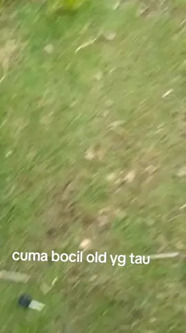 cuma bocil old yg tau#fyppppppppppppppppppppppp 