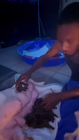 they all doing good 