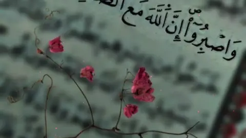 #CapCut #يلا_يا_أهلي #😭😭😭😭😭😭😭😭😭😭 