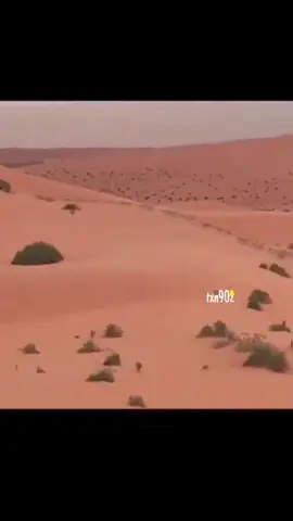 هذا اليوم #في هذا اليوم 