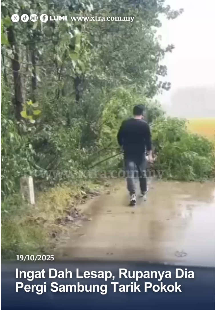 Mungkin time jatuh baru nampak tempat mana yang sepatutnya dia tarik pokok tu🤣 #fyp #xtra #jatuh #pokok Sumber: azz88__