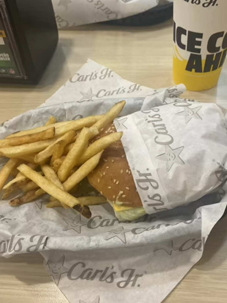 😔😔 #fyp #food #takemeback #carlsjr 