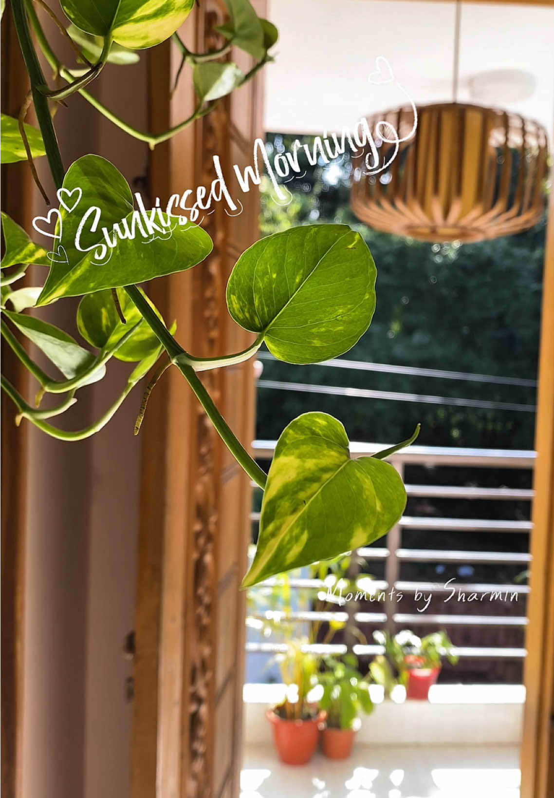 Just me, my morning light, and a little play with the sun ☀️ #morningvibes #cozyvibes #viraltiktokシ #foryoupageシ  #highlights 