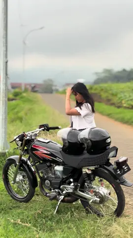 Sangar sangar ngene petik cetobelii brooo