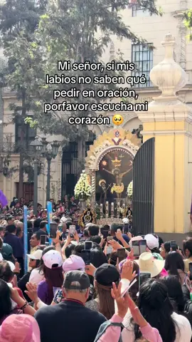 Que sea tu voluntad 💜 #mesmorado #octubre #procesion #señordelosmilagros #lima 