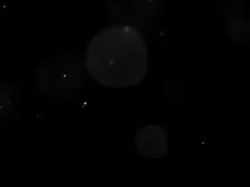 qua lau.  #baochau #CAPTAINBOY #xuhuong #viral #fyp 