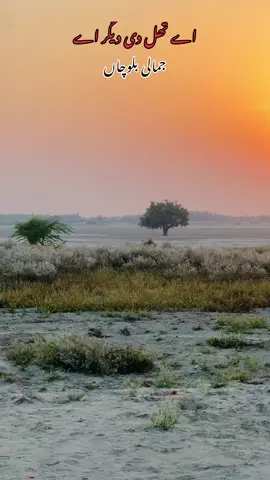 Thal Di Digeer Sun Set  تھل 🌿  #thaldawasi #jamalibalochan #sunset #جمالی__بلوچاں #سنگت_ویڈیو_وائرل_کریسو_آپ_ہیں🥀🌼🙈✨🎇 