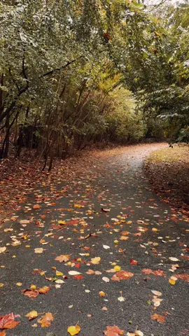 Autumn’s core 🍂🍁 #autumn #fall #autumnvibes🍁 #fyp #fypシ゚viral 