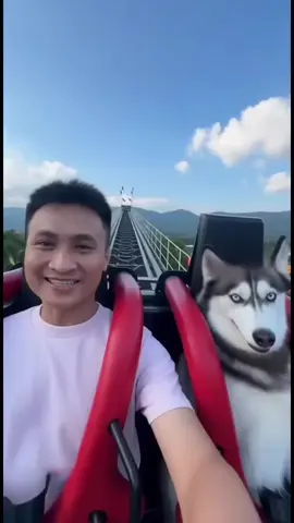 chú chó khổ nhất thế giới là đây#xuhuong #TikTokAwardsVN 