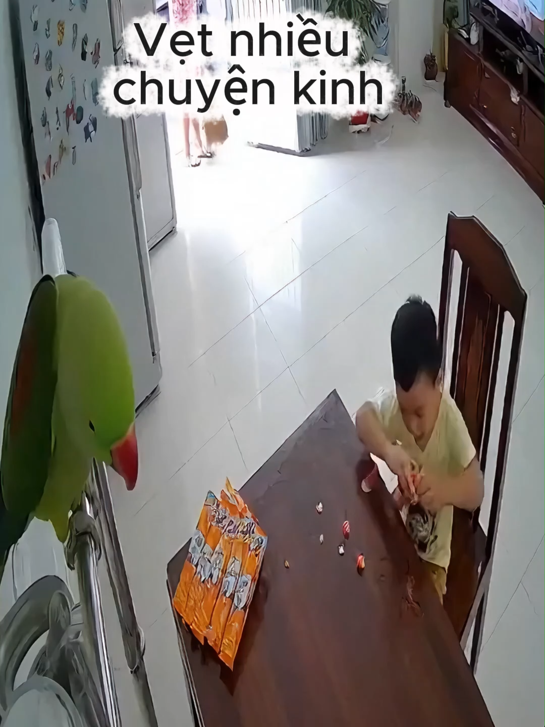 Ở nhà không cần camera, chỉ cần con vẹt này thôi 😂 #vetnhieuchuyen #vetviet #vetbocphot #videohaihước #tiktokvietnam