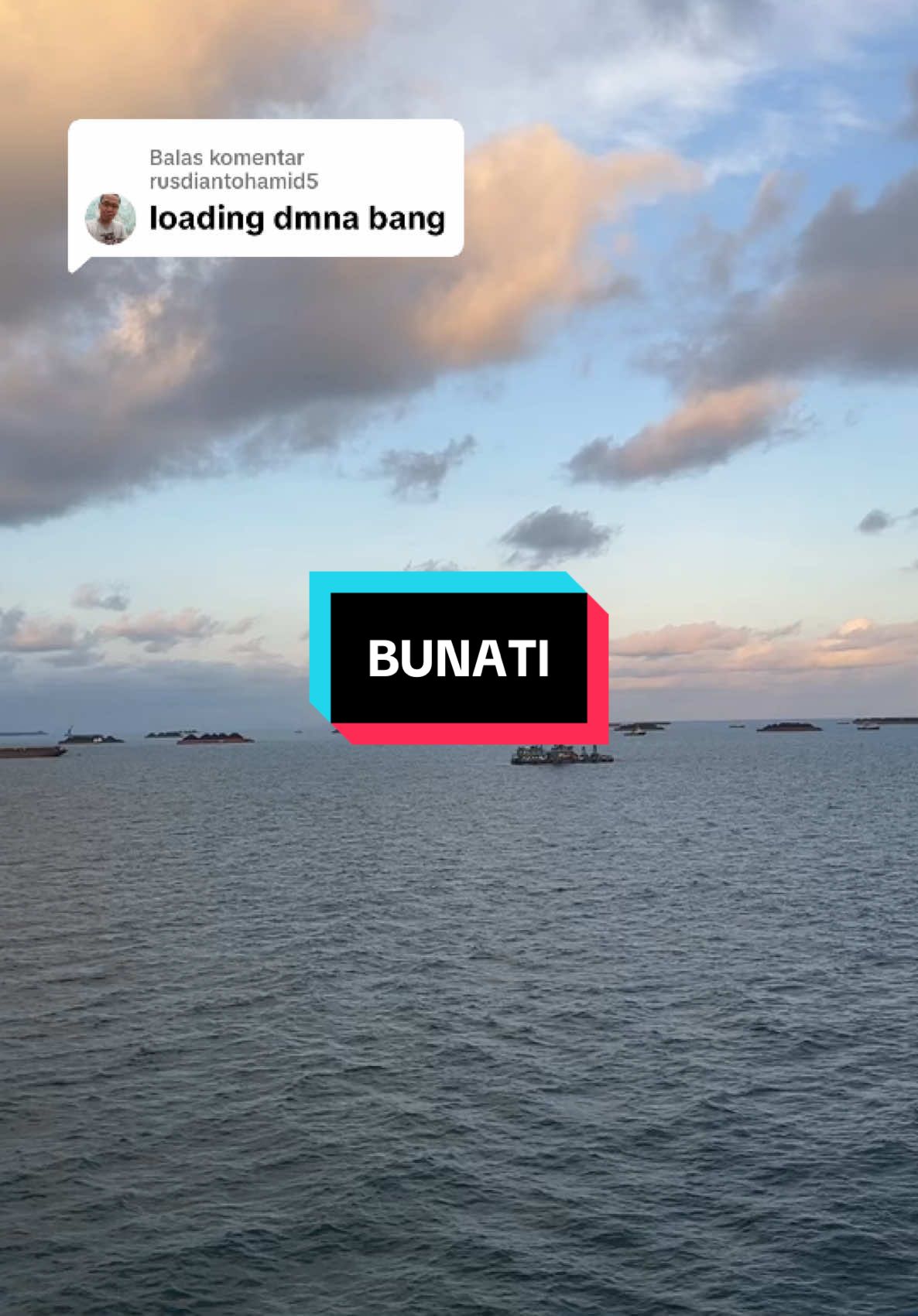 Membalas @rusdiantohamid5 bunati bang #floatingcrane #promoseruweekend #bunatikalimantanselatan #fyp #