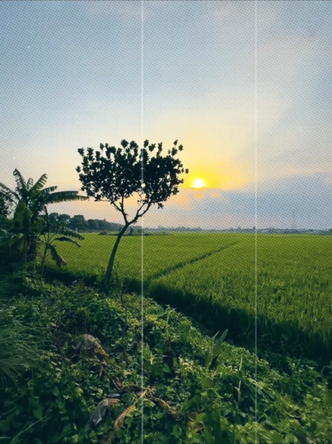 আমার যেই পরিমান রাগ জেদ আমার শখের নারী সয্য করে আসছে তার জায়গায় অন্য কেও হলে কবেই আমাকে ছুড়ে ফেলে দিতো:)🥺🫶 . . . . .#tanvir__31 @Tanvir's wife>>💙🔐 