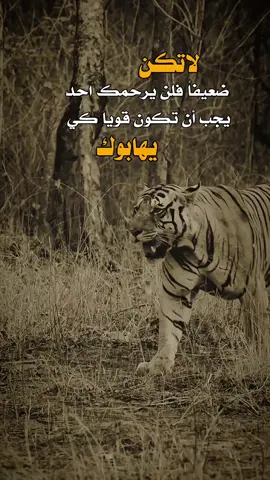 لاتكن 👌✋ #صباح_الخير #عبارات #اكسبلور 