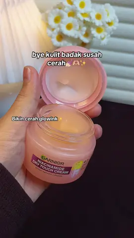 #sekenyalmochi #garniermochibb 