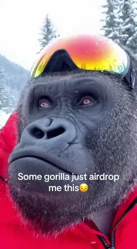 #soraai #sora #ai #gorilla #ski 