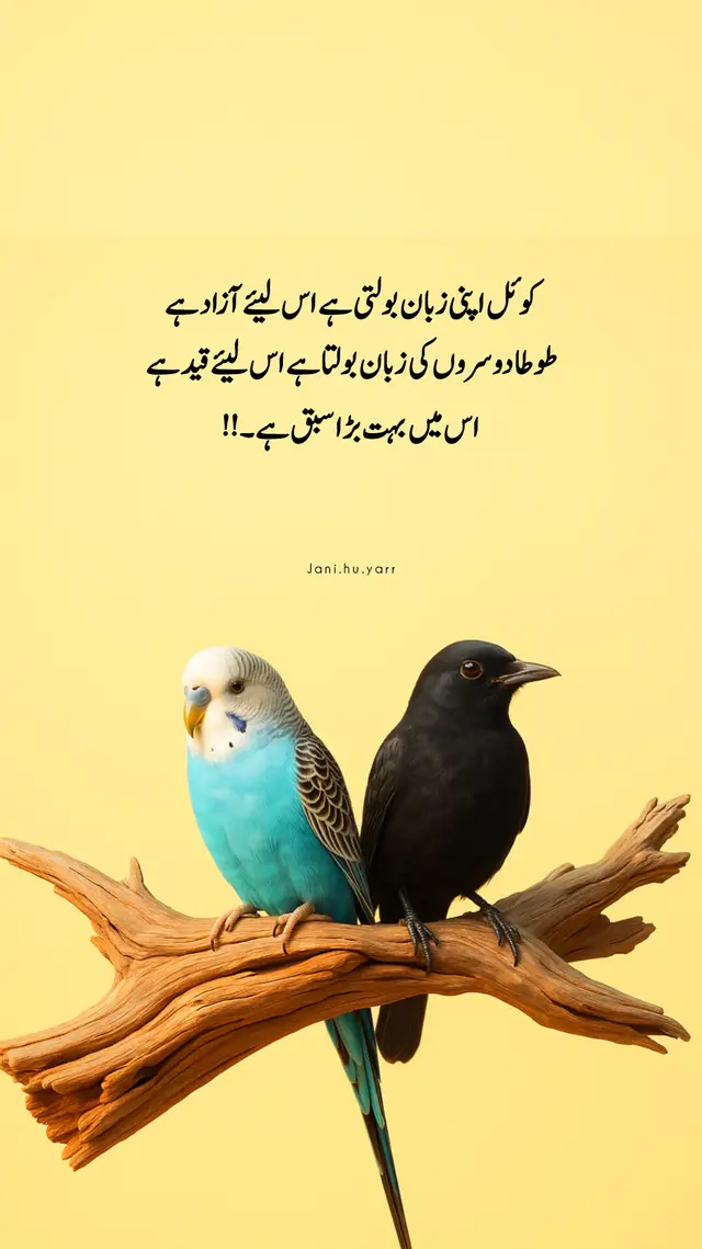 کوئل اپنی زبان بولتی ہے اس لیے آزاد ہے  طوطا دوسروں کی زبان بولتا ہے اس لیئے قید ہے  اس میں بہت بڑا سبق ہے 