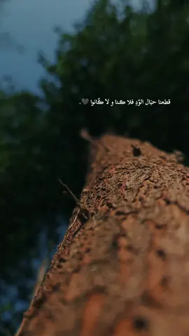 قطعنا حبَال الوّد فلا ڪًًًَُـنا و لا ڪًانوا 🤍#اقتباسات_عبارات_خواطر🖤🦋❤️ #تصويري📷 #اصحاب_العبارات_الفخمه_التعليقات_لكم،💔🥀 #مالي_خلق_احط_هاشتاقات #الشعب_الصيني_ماله_حل😂😂 