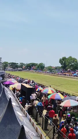 monggo merapat  ke Bangkalan Madura, Event Kerapan Sapi Piala Presiden Bersama Wismilak Diplomat