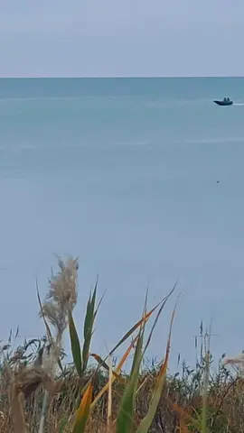 #море #природа 