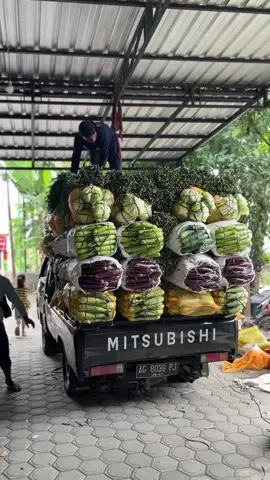 abot koyok tanggung jawab #sayurbalap #sayurfresh #ponorogo24jam #l300 #kediri24jam 